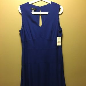 Ladys Spring/Summer Dress